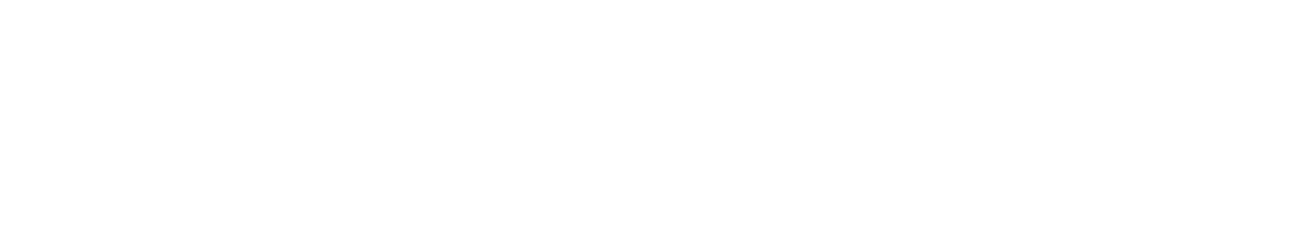 Casion